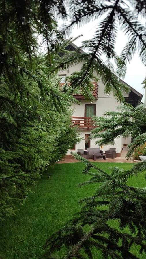 Pensiunea Antonio Bran Bran  Extérieur photo
